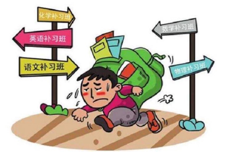 在北京，教育培训市场如同一张巨大的网，将无数家庭紧紧相连。如何在这一片海洋中找到适合自己的“教育之舟”？让我们一起探索。